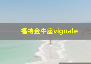 福特金牛座vignale