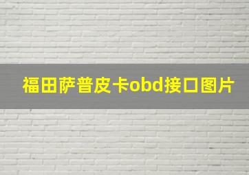 福田萨普皮卡obd接口图片