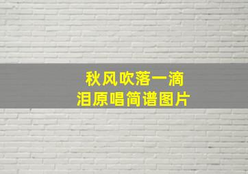 秋风吹落一滴泪原唱简谱图片