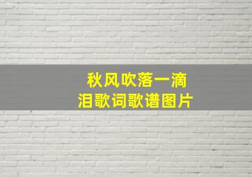 秋风吹落一滴泪歌词歌谱图片