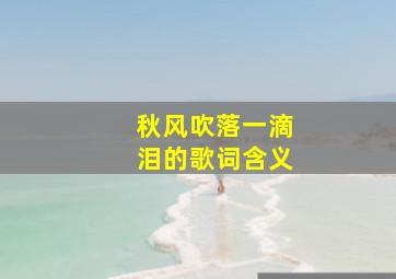 秋风吹落一滴泪的歌词含义