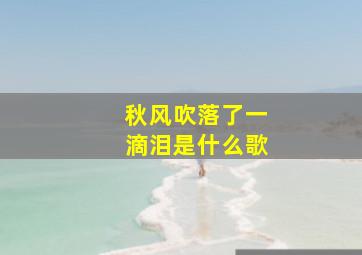 秋风吹落了一滴泪是什么歌