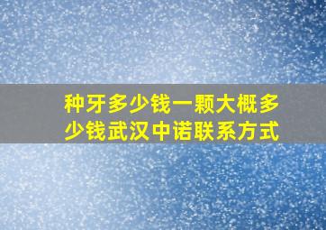 种牙多少钱一颗大概多少钱武汉中诺联系方式