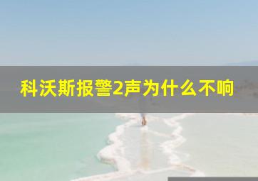 科沃斯报警2声为什么不响