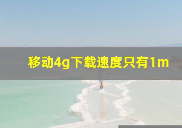 移动4g下载速度只有1m