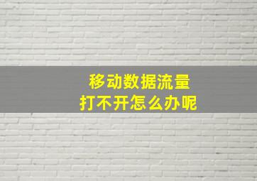 移动数据流量打不开怎么办呢