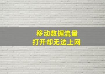 移动数据流量打开却无法上网