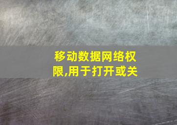 移动数据网络权限,用于打开或关