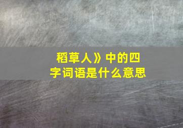 稻草人》中的四字词语是什么意思