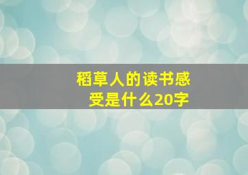 稻草人的读书感受是什么20字