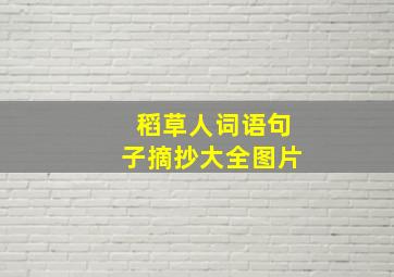 稻草人词语句子摘抄大全图片