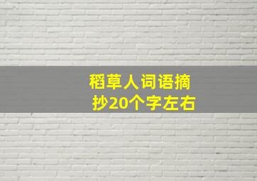 稻草人词语摘抄20个字左右