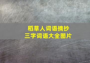 稻草人词语摘抄三字词语大全图片