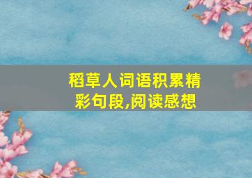 稻草人词语积累精彩句段,阅读感想