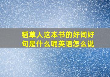 稻草人这本书的好词好句是什么呢英语怎么说