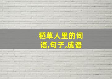 稻草人里的词语,句子,成语