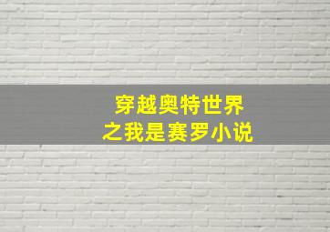 穿越奥特世界之我是赛罗小说