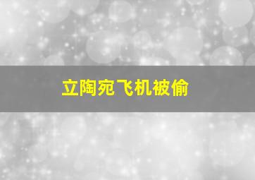 立陶宛飞机被偷