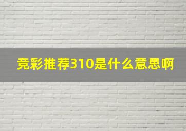 竞彩推荐310是什么意思啊