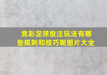 竞彩足球投注玩法有哪些规则和技巧呢图片大全