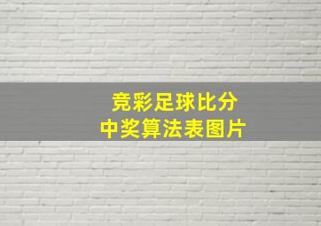 竞彩足球比分中奖算法表图片