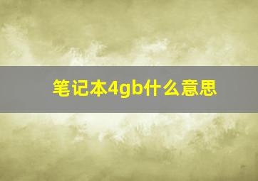 笔记本4gb什么意思