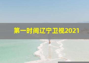 第一时间辽宁卫视2021