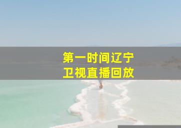 第一时间辽宁卫视直播回放