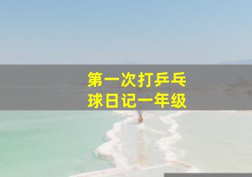 第一次打乒乓球日记一年级