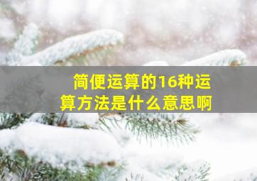 简便运算的16种运算方法是什么意思啊