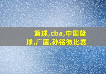 篮球,cba,中国篮球,广厦,孙铭徽比赛