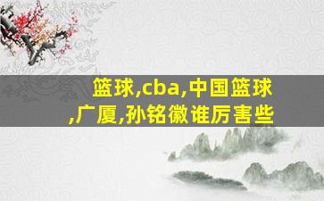 篮球,cba,中国篮球,广厦,孙铭徽谁厉害些