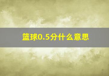 篮球0.5分什么意思