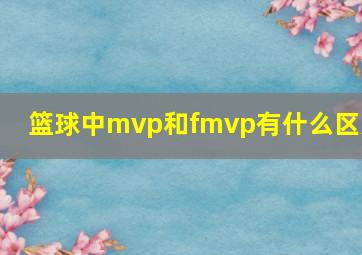 篮球中mvp和fmvp有什么区别