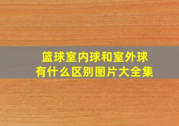 篮球室内球和室外球有什么区别图片大全集