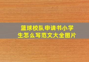 篮球校队申请书小学生怎么写范文大全图片