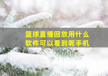 篮球直播回放用什么软件可以看到呢手机