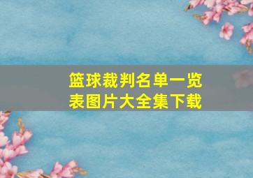 篮球裁判名单一览表图片大全集下载