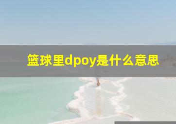 篮球里dpoy是什么意思