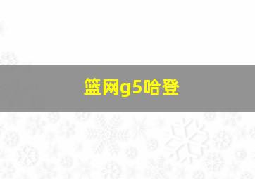 篮网g5哈登