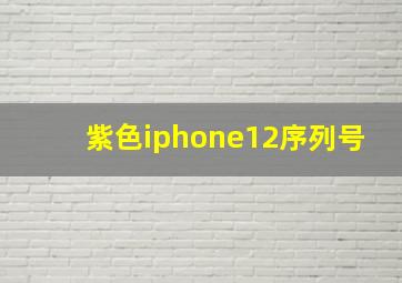 紫色iphone12序列号