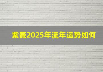 紫薇2025年流年运势如何