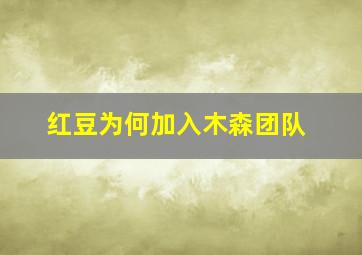 红豆为何加入木森团队