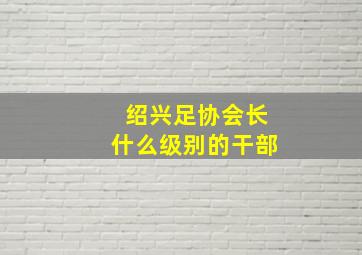 绍兴足协会长什么级别的干部