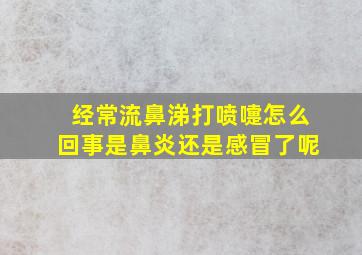 经常流鼻涕打喷嚏怎么回事是鼻炎还是感冒了呢