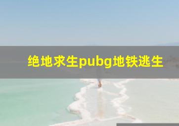 绝地求生pubg地铁逃生