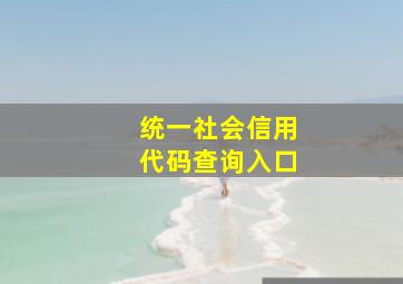 统一社会信用代码查询入口