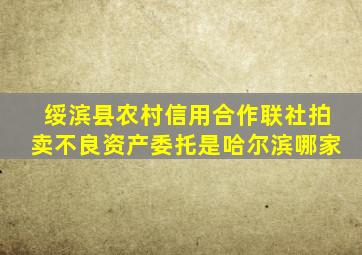 绥滨县农村信用合作联社拍卖不良资产委托是哈尔滨哪家