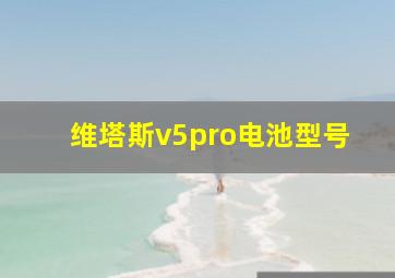 维塔斯v5pro电池型号