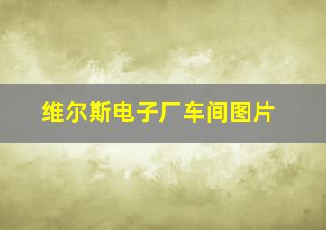 维尔斯电子厂车间图片